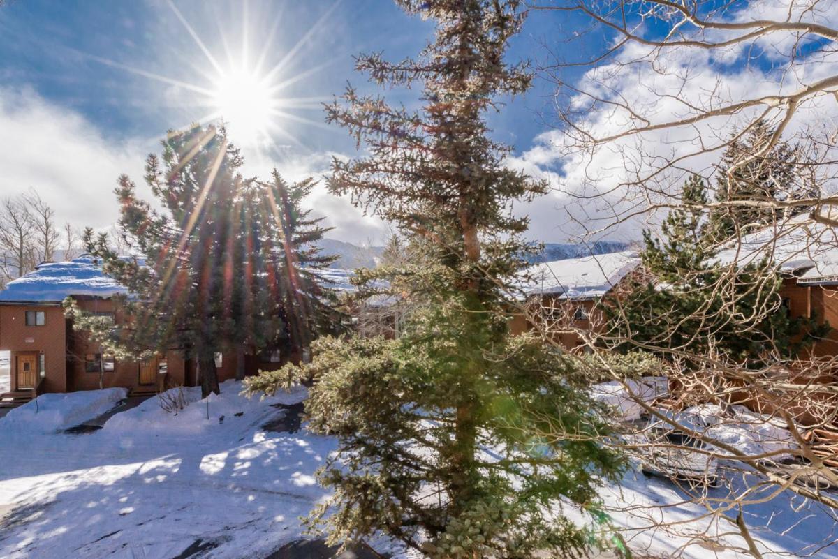 Snowflower 12 Mammoth Lakes Buitenkant foto